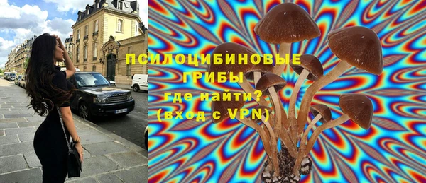 MESCALINE Арсеньев