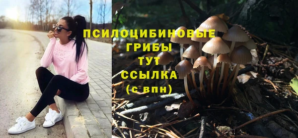 MESCALINE Арсеньев