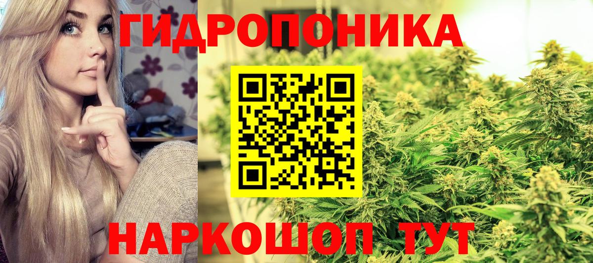 Баксан  Бошки марихуана конопля  Шишки марихуана семена  Шишки марихуана планчик  Вход с VPN 